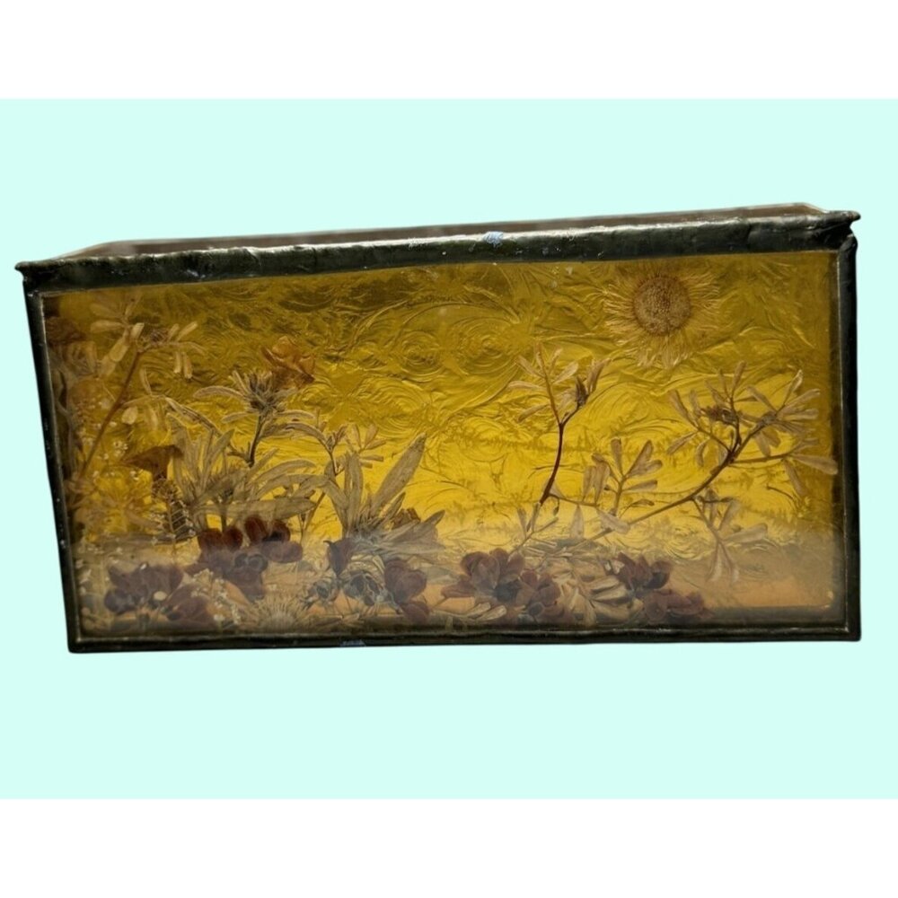 Antique Pressed Flower Under Stained amber textured Glass Brass casket Trinket V